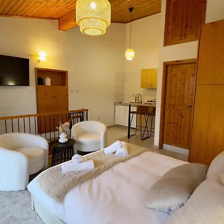 Maison Damianou Elegant Loft Omodos