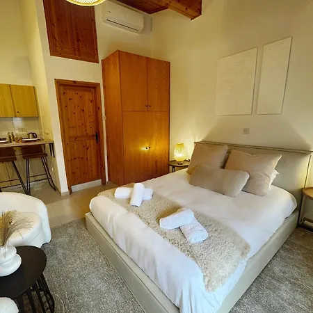 Maison Damianou Elegant Loft * Omodos