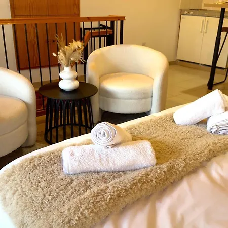 Maison Damianou Elegant Loft * Omodos