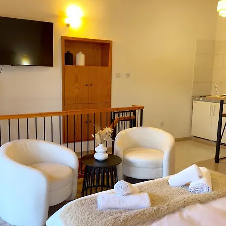 Apartment Maison Damianou Elegant Loft