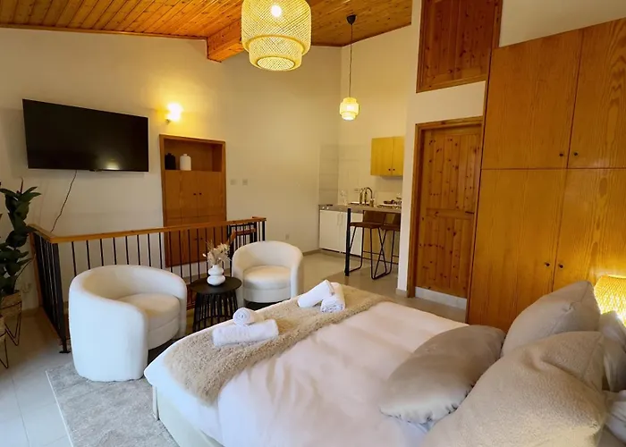 Maison Damianou Elegant Loft Omodos