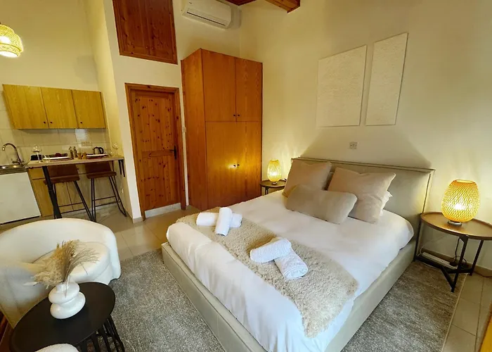 Maison Damianou Elegant Loft * Omodos