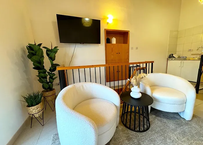 Maison Damianou Elegant Loft * Omodos